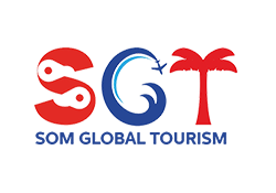 Som Global Truzim